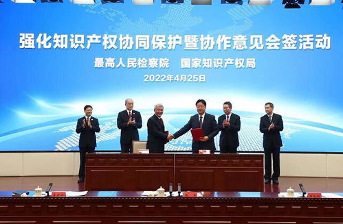 最高檢與國家知識產(chǎn)權(quán)局建立常態(tài)化聯(lián)絡(luò)機(jī)制 重大案件共同掛牌督辦